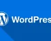 WordPress教学