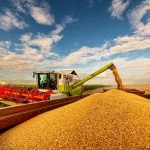 Smart Temperature-Controlled Drying · Grain Dryer